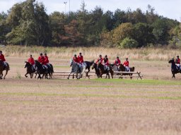 IMG_8499_web